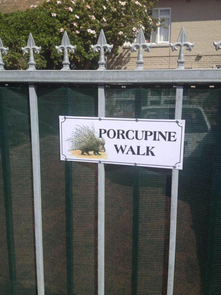 Ferienwohnung Porcupine Walk Simonʼs Town Exterior foto